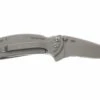 Kershaw 1600 Chive -Rabais Couteaux Soldes KE1600 01 kershaw chive ke1600 d1