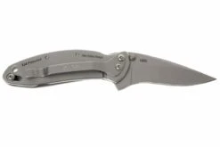 Kershaw 1600 Chive